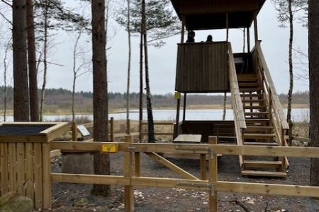 Fågeltornet 4