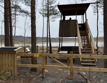 Fågeltornet 4